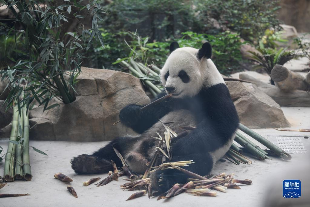 捕鱼达人之海啸来袭