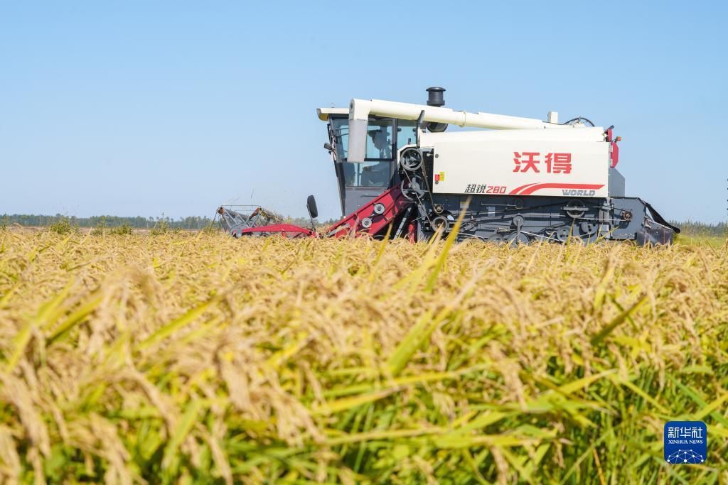 xpg6999小苹果